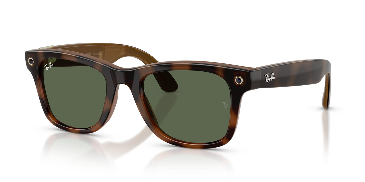 690571 - Tortoise - G-15 Green