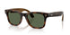 690571 - Tortoise - G-15 Green