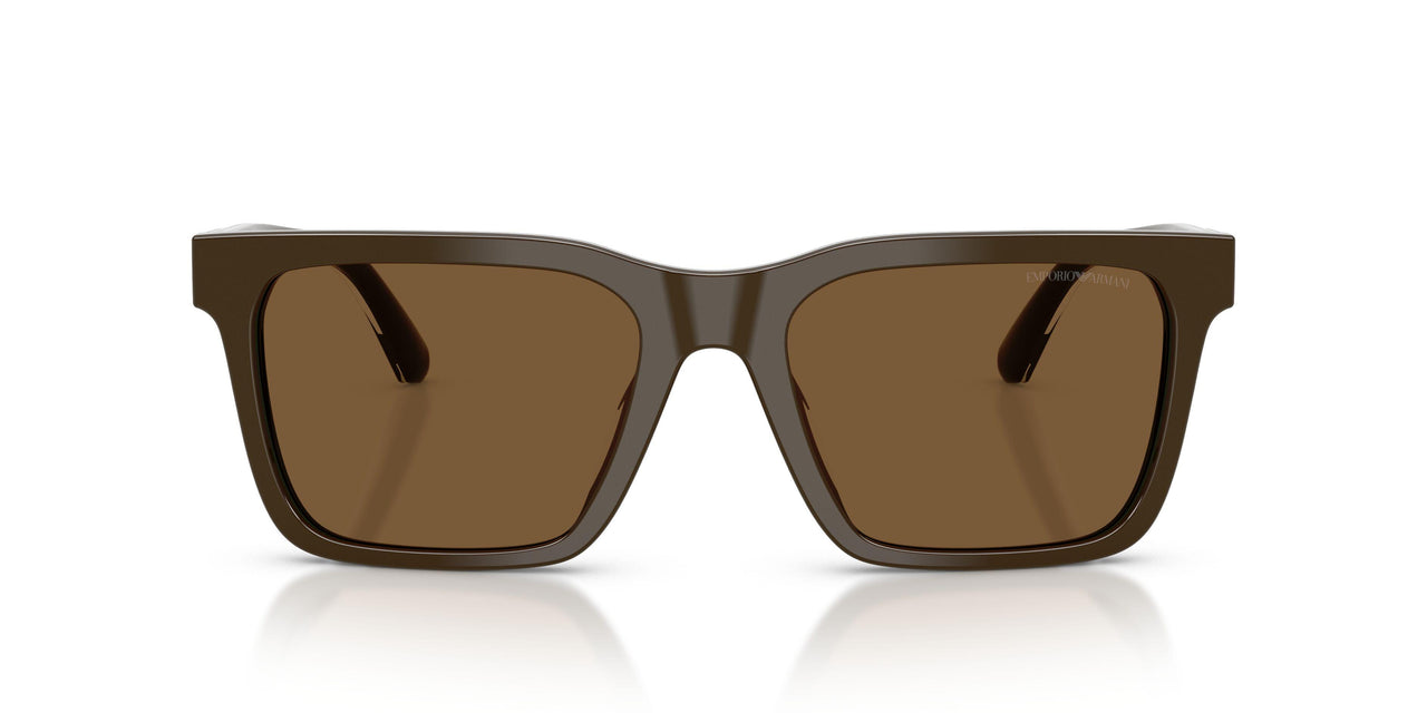 630773 - Brown - Brown