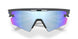 949911 - Grey - Prizm Deep Water Polarized
