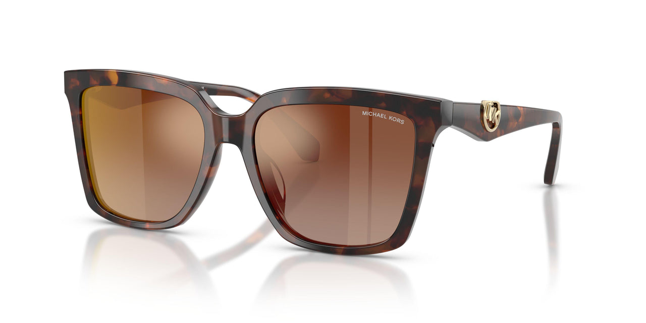 4031AO - Tortoise - Brown Gradient Mirror Red