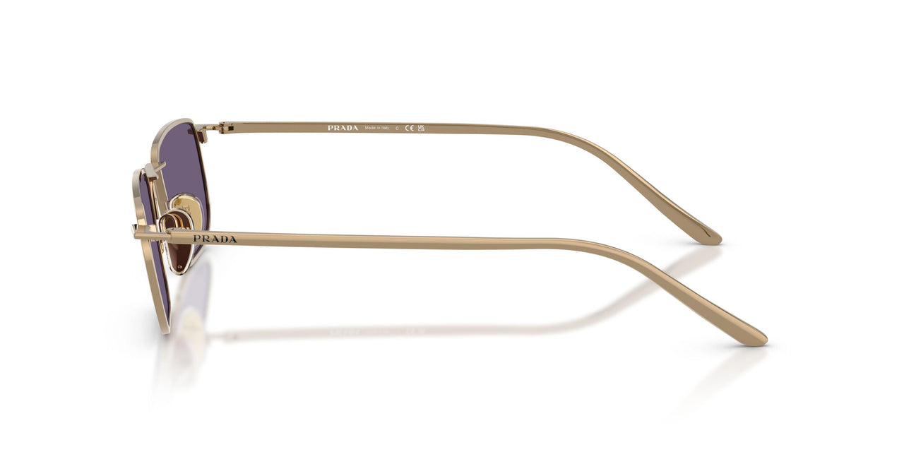 7OE70W - Brown - Violet
