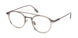 ZEGNA 5315D Eyeglasses