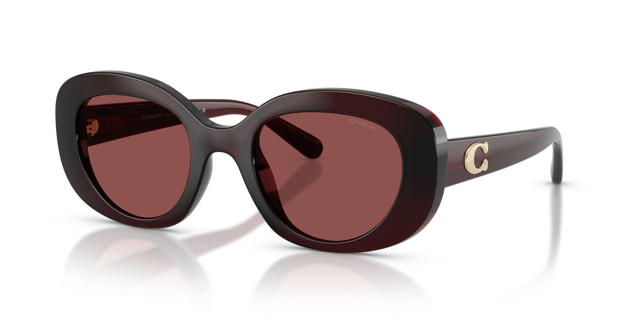 Coach Cfu08 8463U Sunglasses