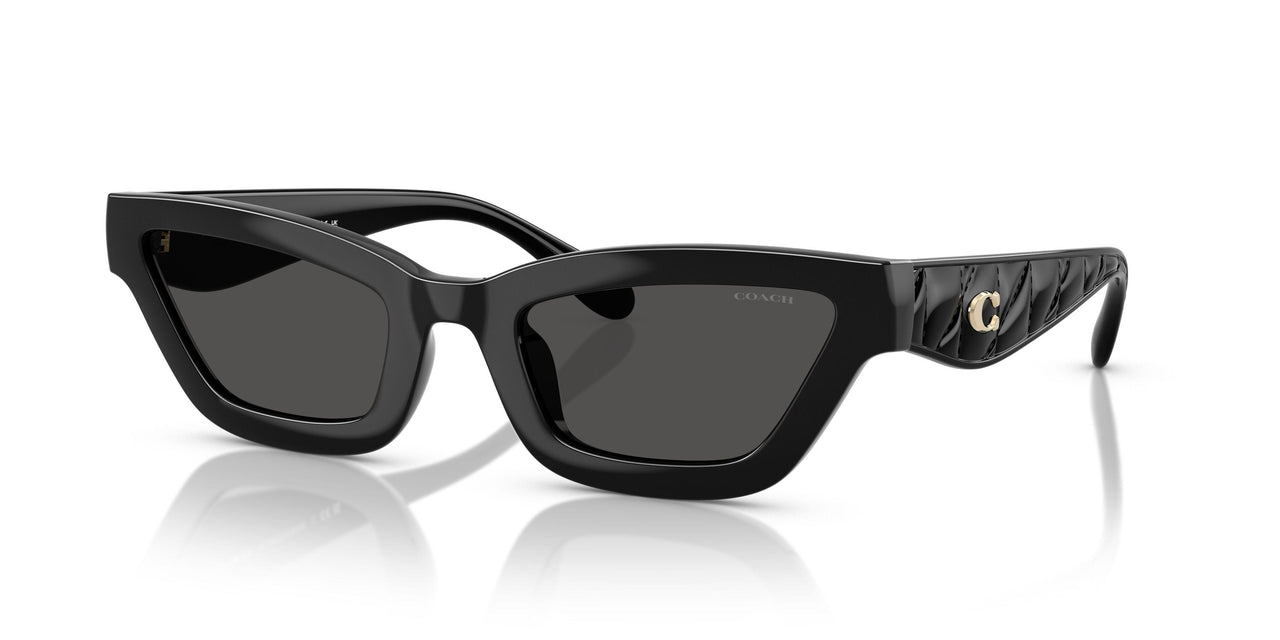 500287 - Black - Grey Solid