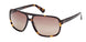 Timberland 00031 Sunglasses