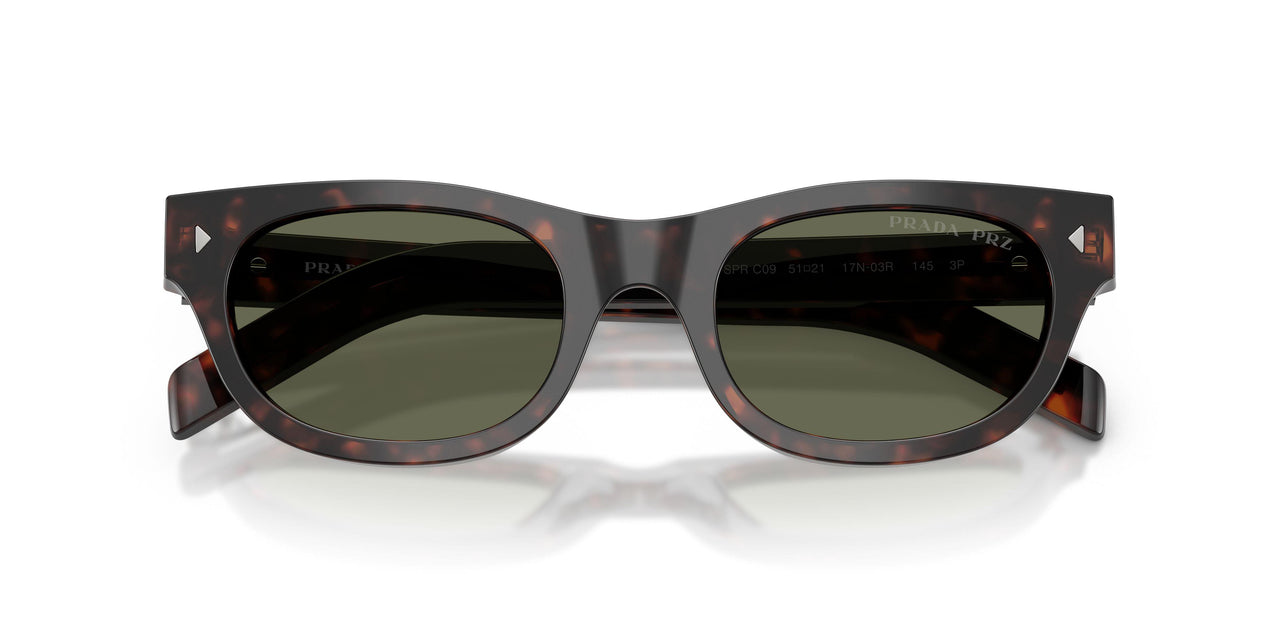 17N03R - Tortoise - Green Polarized