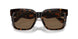 300273 - Brown - Dark Brown
