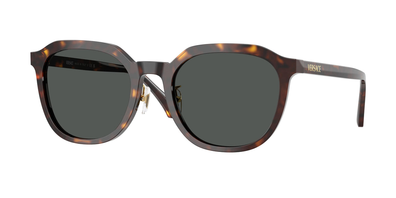 Versace 4493D Sunglasses