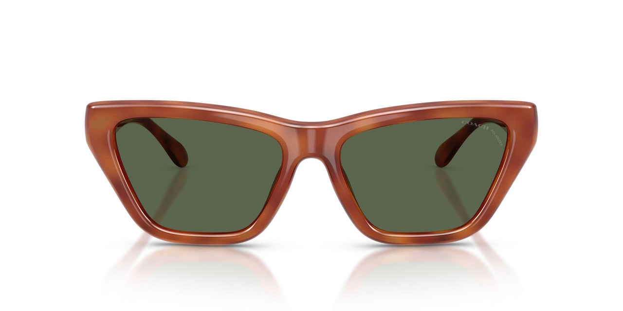 57749A - Tortoise - Green Solid Polarized