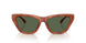57749A - Tortoise - Green Solid Polarized
