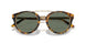 51345U - Tortoise - Green