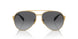 5AK5W1 - Gold - Grey Gradient Polar
