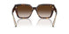 80153B - Tortoise - Brown Gradient