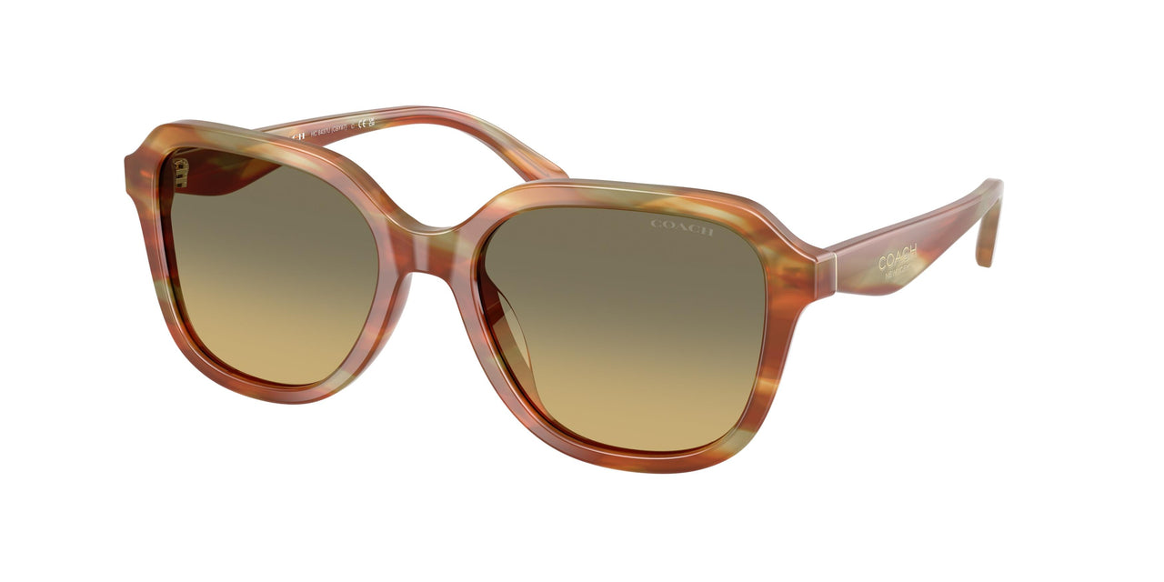 Coach Cby87 8437U Sunglasses