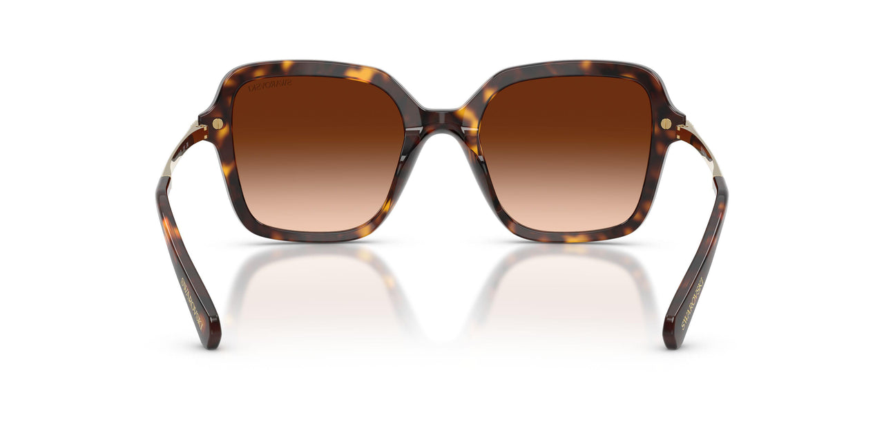 100274 - Tortoise - Gradient Brown