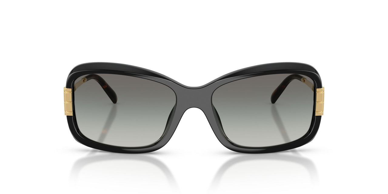 196411 - Black - Grey Gradient