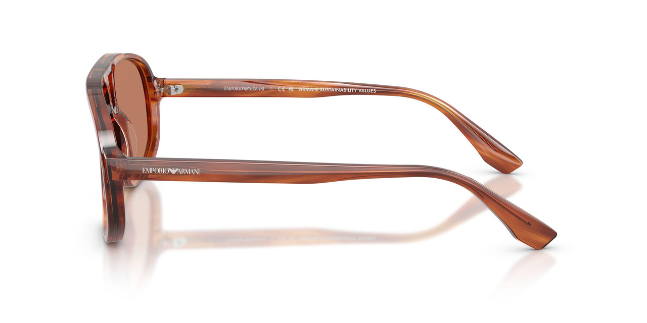 632973 - Brown - Brown