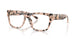 5080 - Tortoise