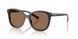 17N06B - Tortoise - Dark Brown