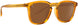 20604240G49MU - Amber Coast