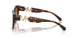 403118 - Tortoise - Grey Orange Gradient