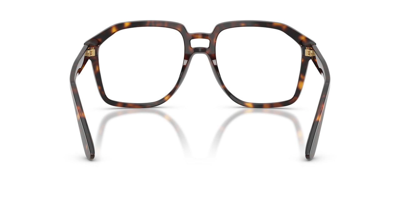 502/SB - Tortoise - Clear Blue Light Filter