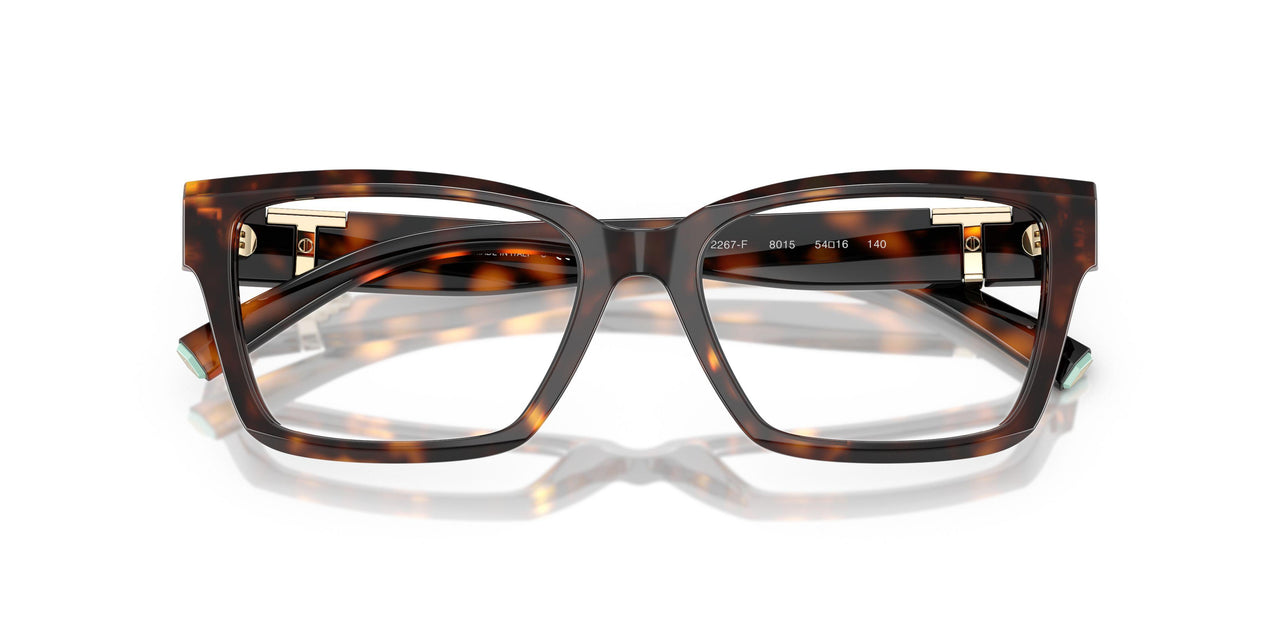 8015 - Tortoise