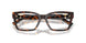8015 - Tortoise