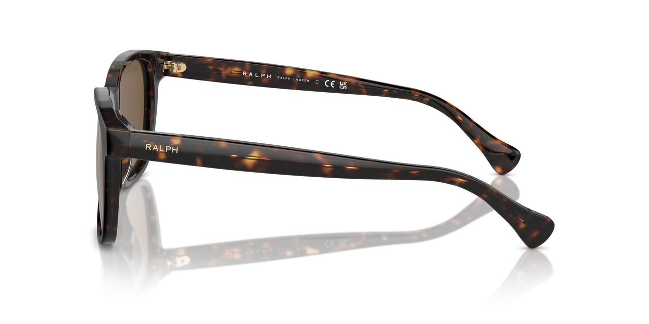 500373 - Brown - Brown