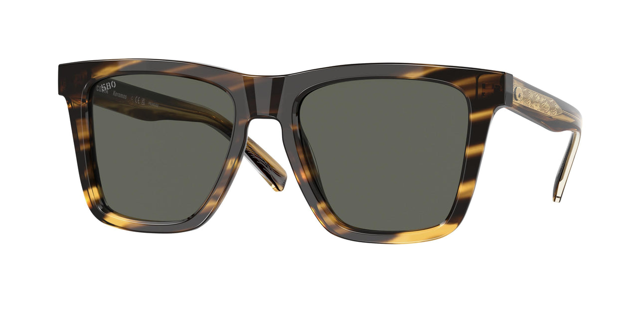 201504 - Tortoise - Gray
