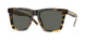 201504 - Tortoise - Gray