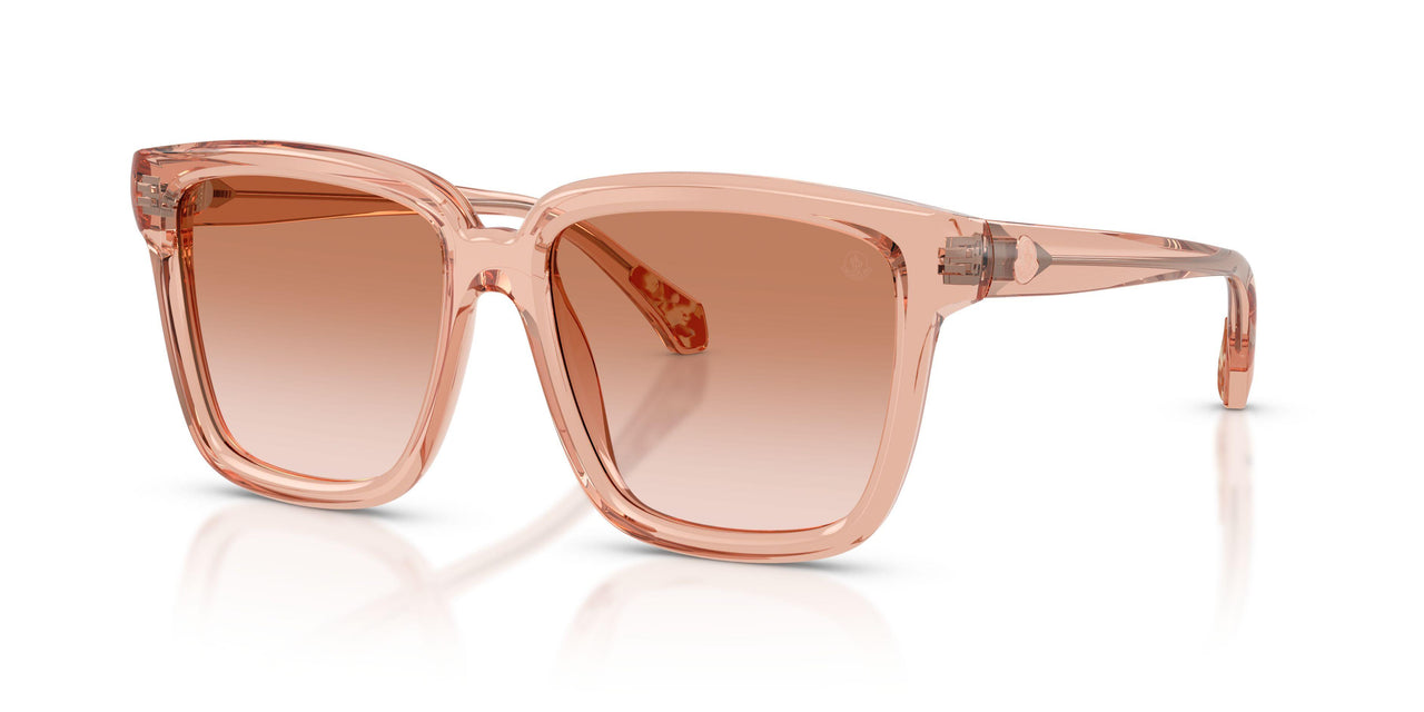 304513 - Pink - Gradient Light Brown