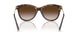 80153B - Tortoise - Brown Gradient