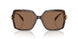 395173 - Tortoise - Brown Solid