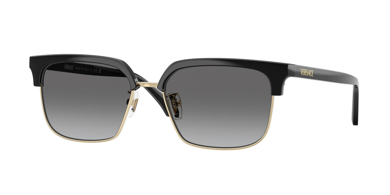 Versace 4494D Sunglasses