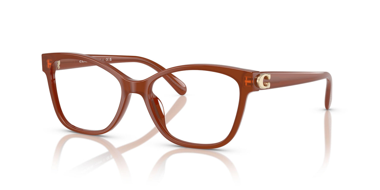 5841 - Brown