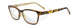 WSSRN04 Gloss Brown Demi/Champagne