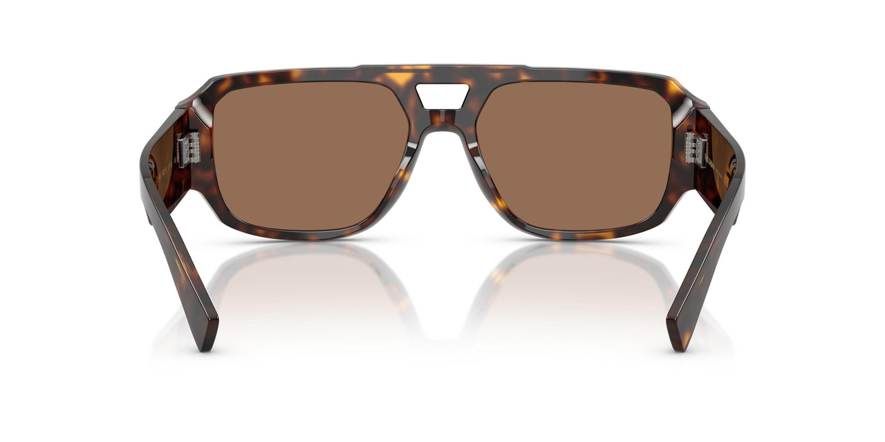 502/73 - Tortoise - Dark Brown