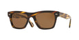 100357 - Havana - True Polar Brown / 54