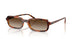 W65613 - Brown - Gradient Brown