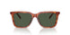 577482 - Tortoise - Green