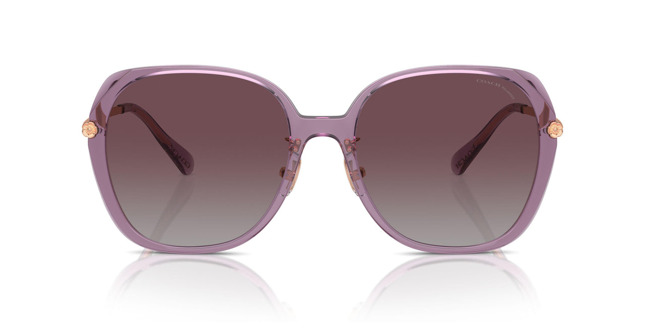 582562 - Violet - Grey Purple Gradient Polar