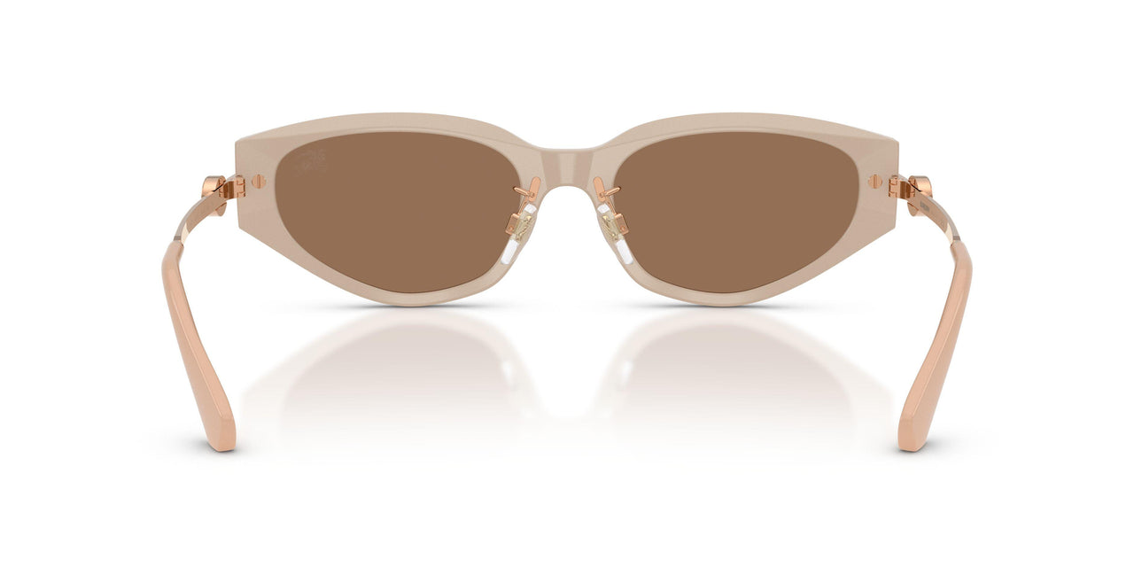 424473 - Beige - Dark Brown