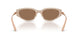 424473 - Beige - Dark Brown