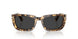 105648 - Tortoise - Polar Black