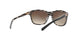 910/13 - Black - Brown Gradient