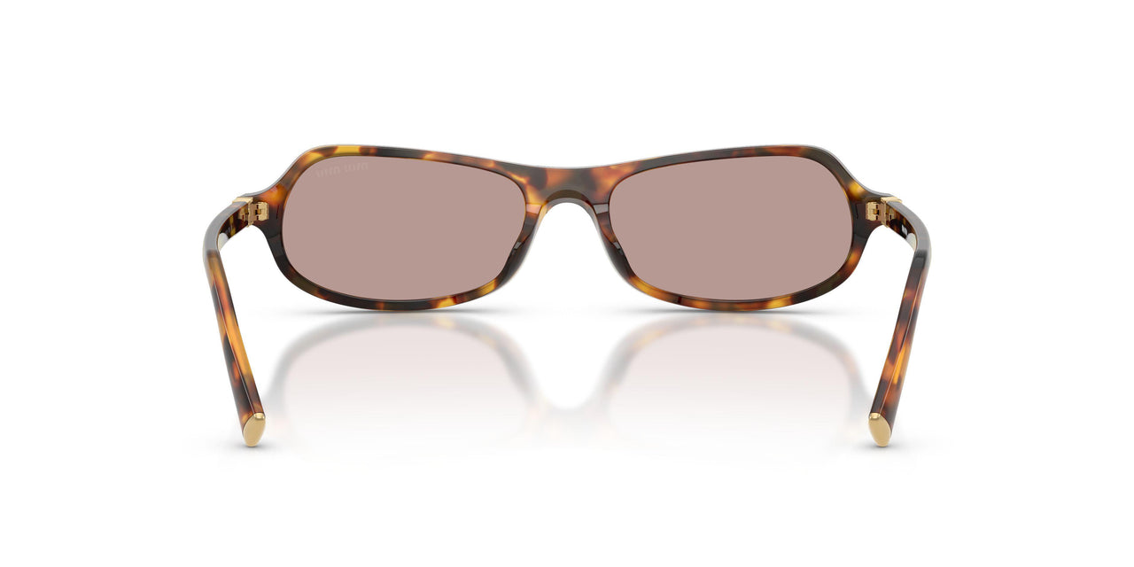 14L20I - Tortoise - Light Purple Brown