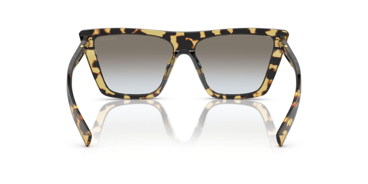 7S00A7 - Tortoise - Grey Gradient