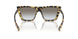 7S00A7 - Tortoise - Grey Gradient